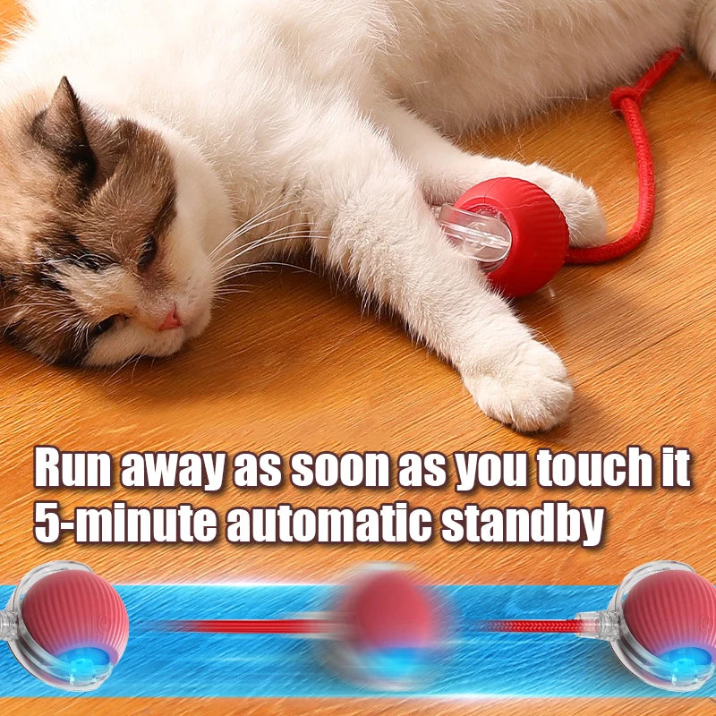 Smart interactive Rolling Ball motion activated Interactive Toy Cat Training Imitate Mouse Tail