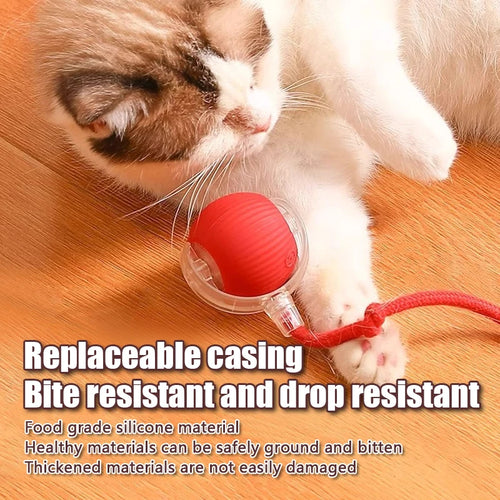 Smart interactive Rolling Ball motion activated Interactive Toy Cat Training Imitate Mouse Tail